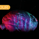 Illustration for article titled Watching These Videos May Make You Feel as Good as Doing Drugs